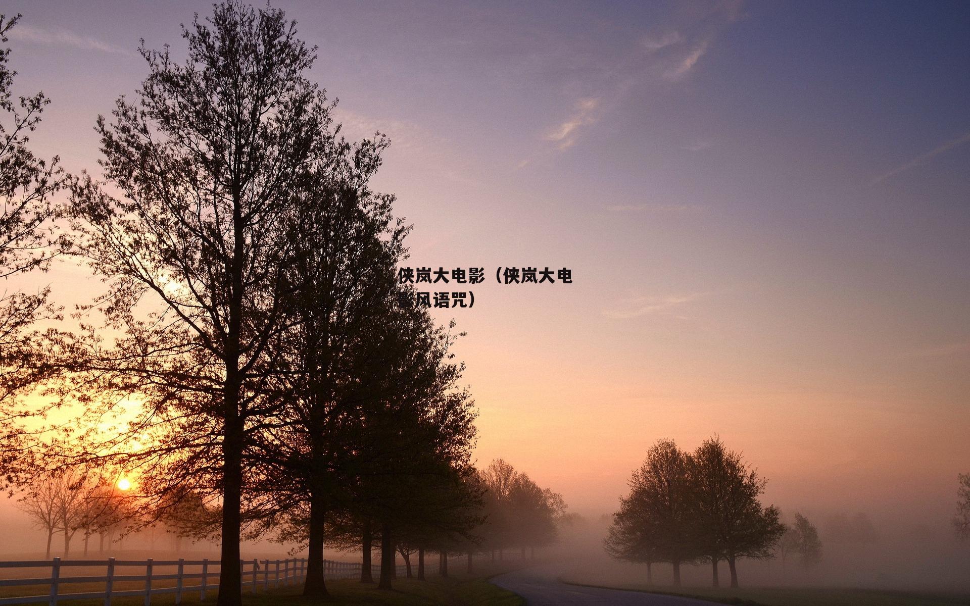 侠岚大电影（侠岚大电影风语咒）